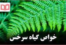 خواص گیاه سرخس