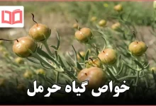 خواص گیاه حرمل