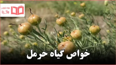 خواص گیاه حرمل