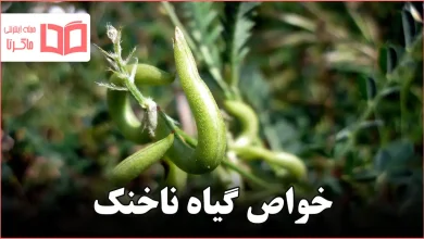 خواص گیاه ناخنک