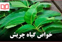 خواص گیاه چریش