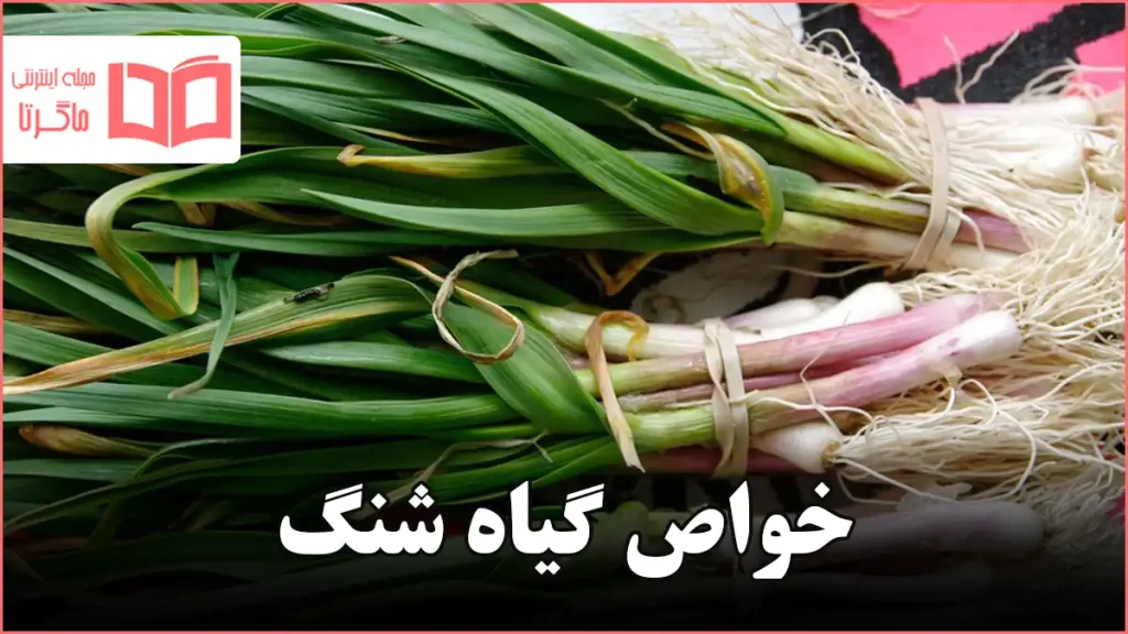 خواص گیاه شنگ
