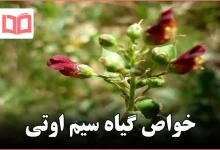 خواص گیاه سیم اوتی