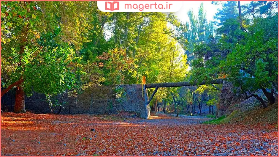 پارک جنگلی وکیل آباد