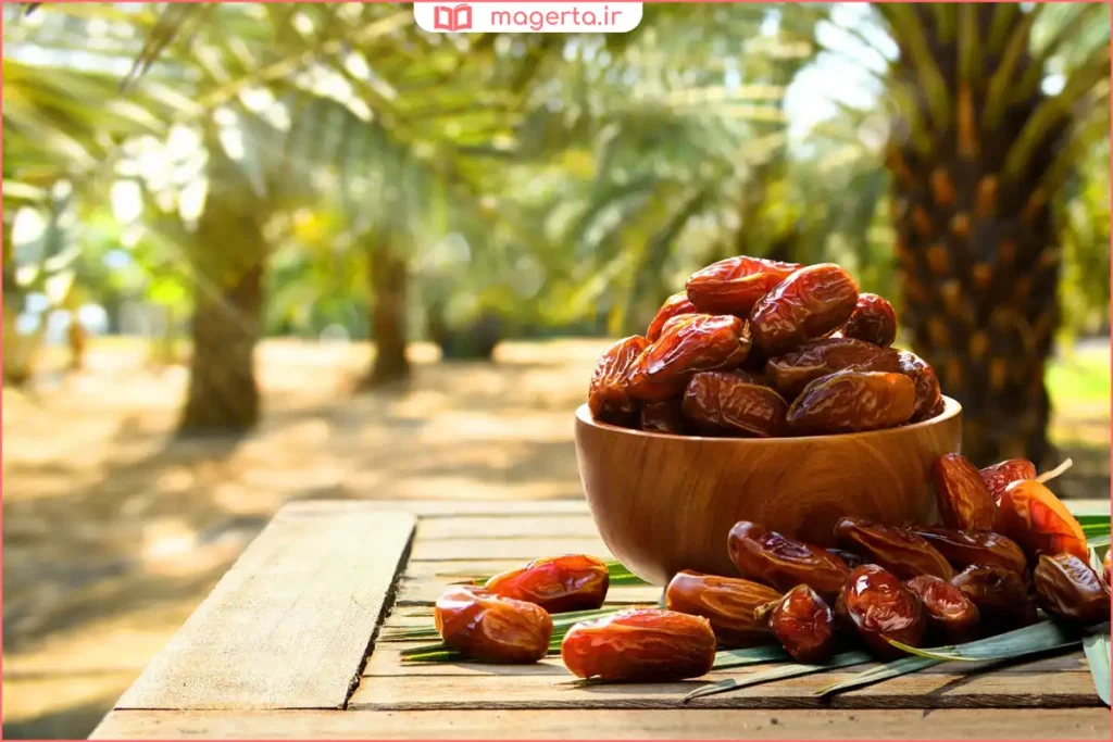 نگهداری رطب تازه در فریزر با بستهبندی مناسب