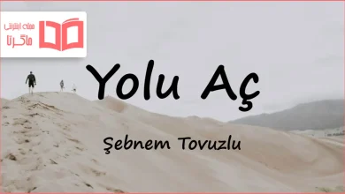 متن و ترجمه آهنگ Yolu Aç از Şebnem Tovuzlu