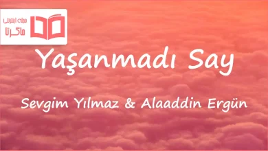 متن و ترجمه آهنگ Yaşanmadı Say از Sevgim Yılmaz و Alaaddin Ergün