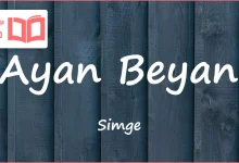 متن و ترجمه آهنگ Ayan Beyan از Simge