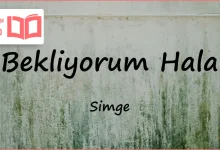 متن و ترجمه آهنگ Bekliyorum Hala از Simge