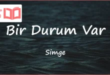 متن و ترجمه آهنگ Bir Durum Var از Simge