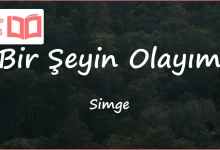 متن و ترجمه آهنگ Bir Şeyin Olayım از Simge