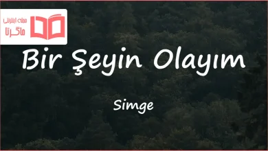 متن و ترجمه آهنگ Bir Şeyin Olayım از Simge