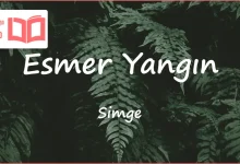 متن و ترجمه آهنگ Esmer Yangın از Simge