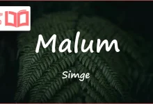 متن و ترجمه آهنگ Malum از Simge