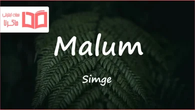 متن و ترجمه آهنگ Malum از Simge