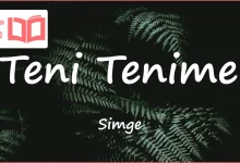 متن و ترجمه آهنگ Teni Tenime از Simge