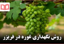 روش نگهداری غوره در فریزر