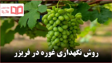 روش نگهداری غوره در فریزر