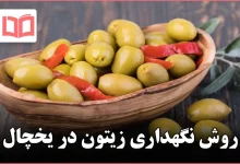روش نگهداری زیتون در یخچال