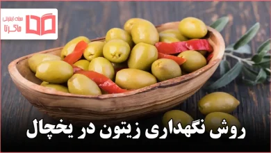 روش نگهداری زیتون در یخچال