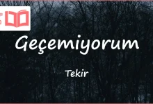 متن و ترجمه آهنگ Geçemiyorum از Tekir