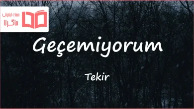 متن و ترجمه آهنگ Geçemiyorum از Tekir