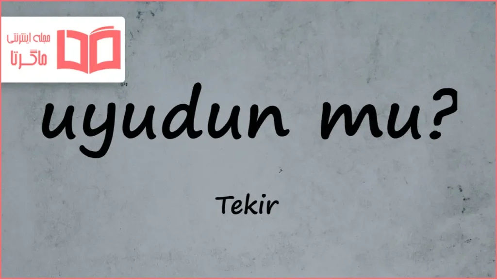 متن و ترجمه آهنگ Uyudun mu از Tekir