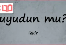 متن و ترجمه آهنگ Uyudun mu از Tekir