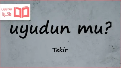 متن و ترجمه آهنگ Uyudun mu از Tekir