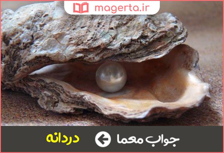 جواب معما بسیار گرامی در جدول