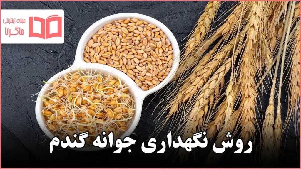 روش نگهداری جوانه گندم