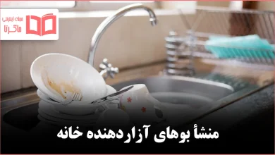 ریشه بوی بد خانه کجاست و چطور باید برای همیشه حذفش کرد