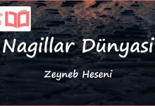 متن و ترجمه آهنگ Nağıllar Dünyası از Zeynəb Həsəni