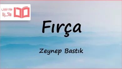متن و ترجمه آهنگ Fırça از Zeynep Bastık