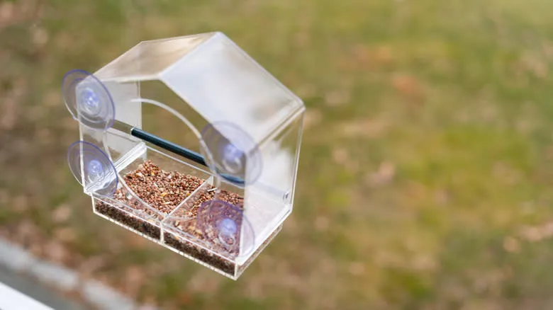 نصب دانخوری پرندگان در بیرون پنجره