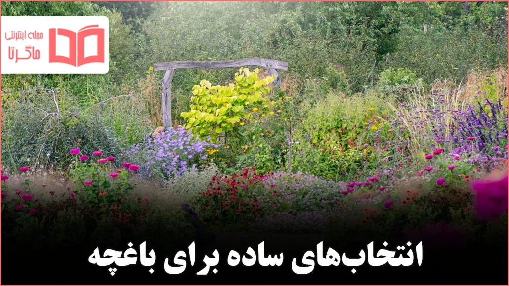 ۲۴ سبزی میوه و گیاهان دارویی ساده برای شروع باغبانی