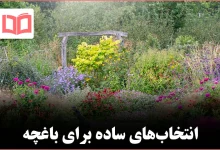 ۲۴ سبزی میوه و گیاهان دارویی ساده برای شروع باغبانی
