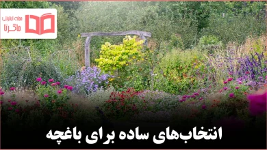 ۲۴ سبزی میوه و گیاهان دارویی ساده برای شروع باغبانی