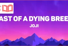 متن و ترجمه آهنگ Last of a Dying Breed از Joji