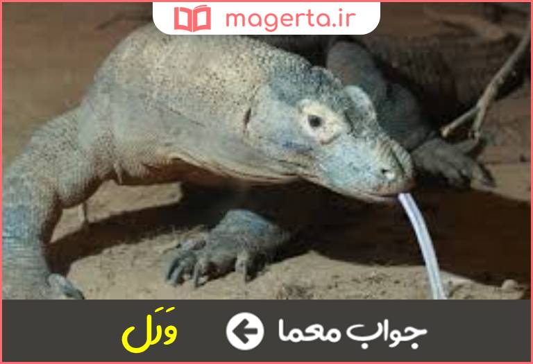 جواب معما نوعی سوسمار بزرگ بومی استرالیا در جدول