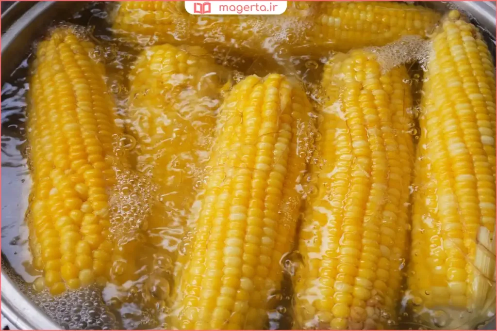 ذرت آب پز داغ و تازه آماده سرو