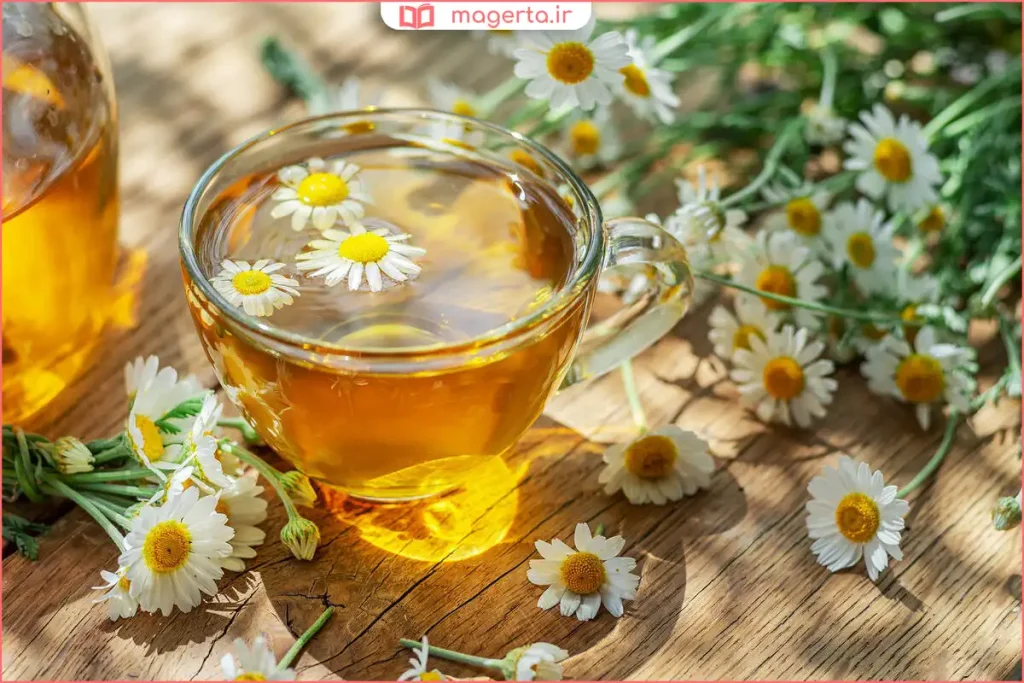 فنجان دمنوش بابونه گرم با گل‌های خشک بابونه