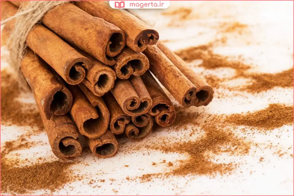 چوب‌های دارچین کنار ادویه‌های خشک