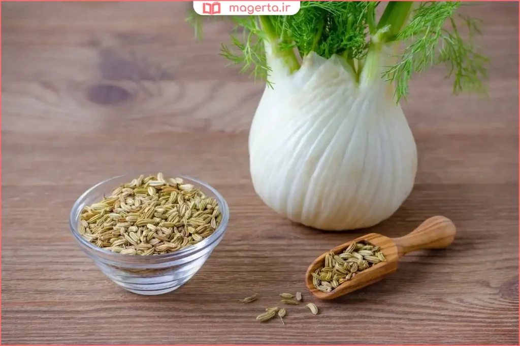 گیاه رازیانه تازه با برگ‌های سبز و ساقه بلند در طبیعت