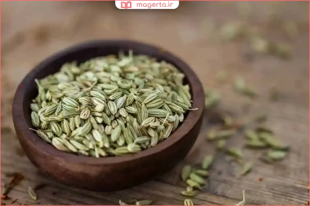 دانه‌های خشک‌شده رازیانه مناسب مصرف خوراکی و دارویی