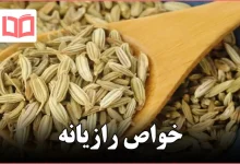 خواص رازیانه