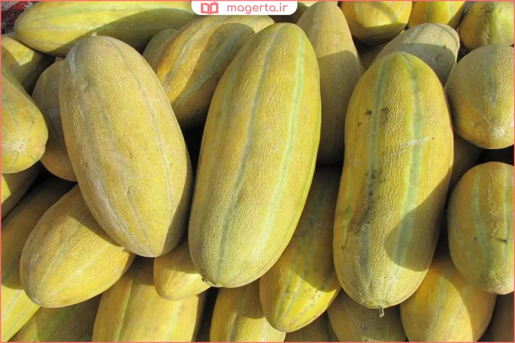خربزه تازه آماده مصرف در ظرف سرو