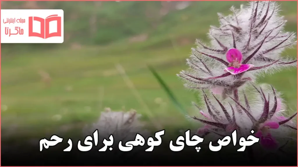 خواص چای کوهی برای رحم