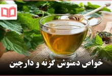 خواص دمنوش گزنه و دارچین