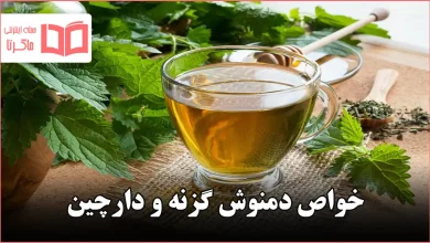 خواص دمنوش گزنه و دارچین
